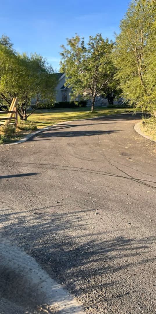 Paved driveway leading to a house surrounded by trees on a sunny day.