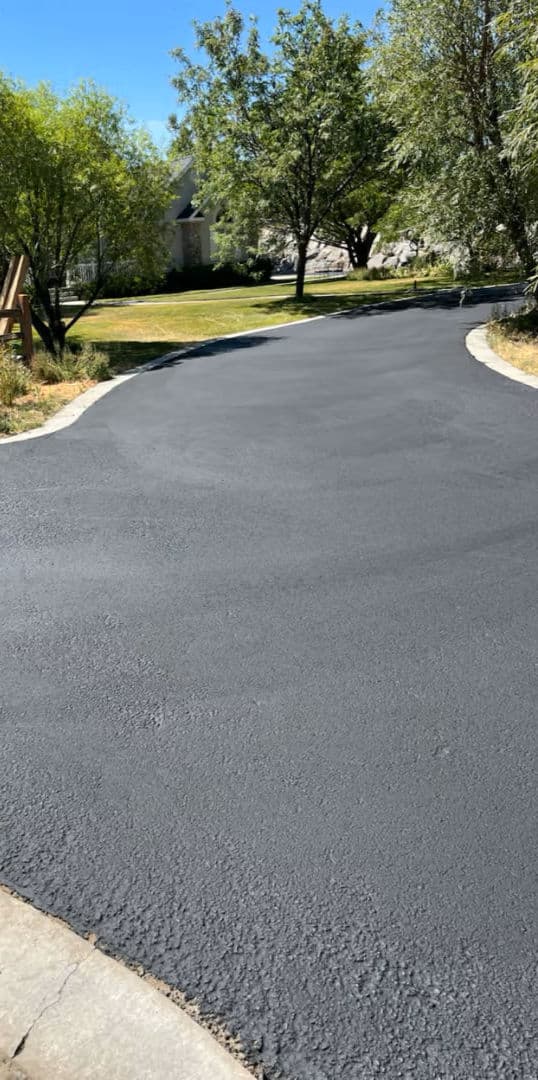 Freshly paved black asphalt driveway winding through a tree-lined residential area.