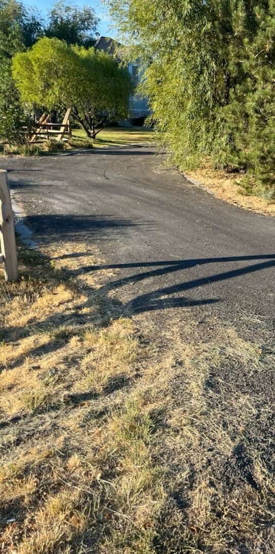 Paved driveway winding through green trees and dry grass in sunny residential area.