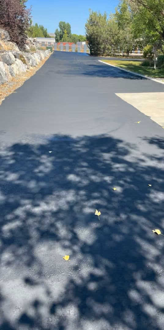 Freshly paved black asphalt driveway with scattered leaves and shadow patterns from nearby trees.