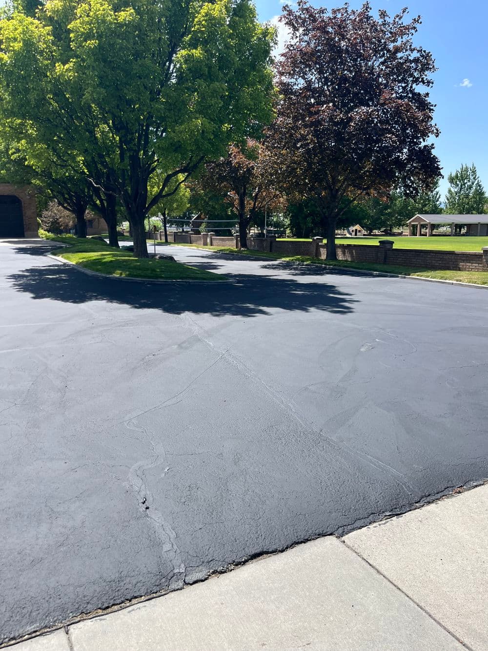 Freshly sealed blacktop driveway with green trees and clear blue sky in a residential area.