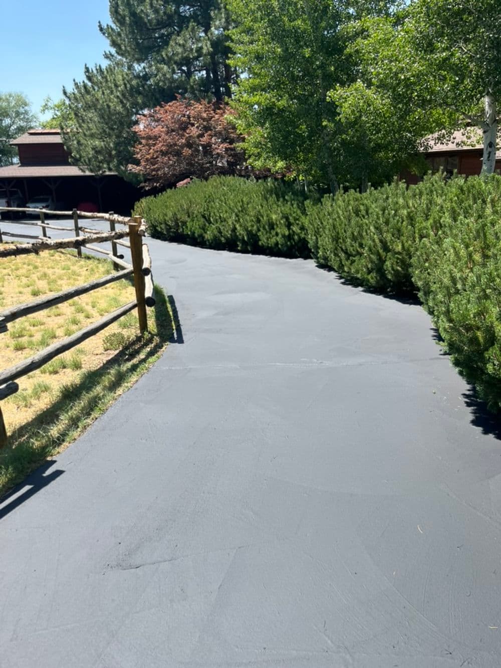 Winding asphalt driveway lined with greenery and a wooden fence in a serene outdoor setting.