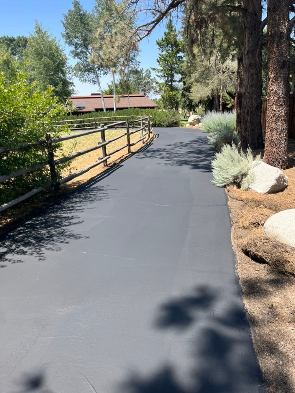 Black paved driveway bordered by trees and shrubs in a sunny outdoor setting.
