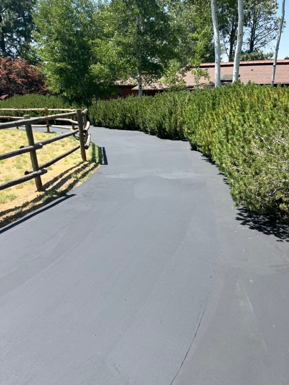 Curved black asphalt driveway surrounded by lush greenery and wooden fence.