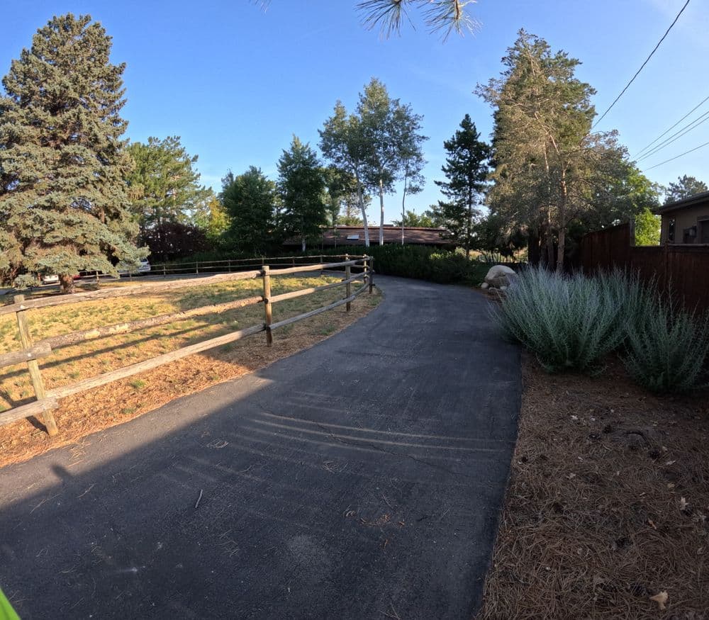 Paved pathway through a landscaped yard with trees and shrubs in a sunny setting.